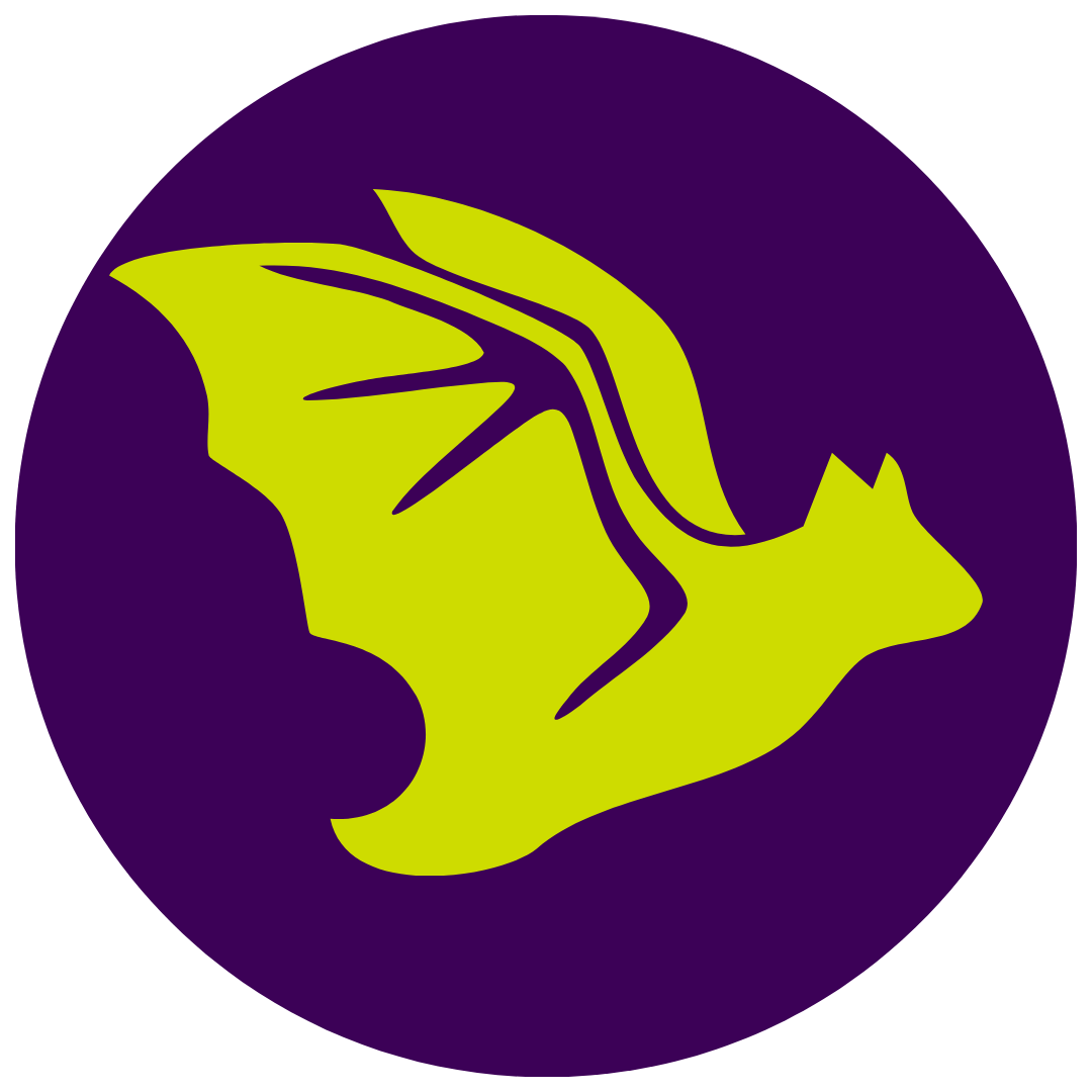 Icon of a bat