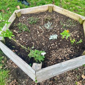 A hexagon planting bed with soil and plants in the middle