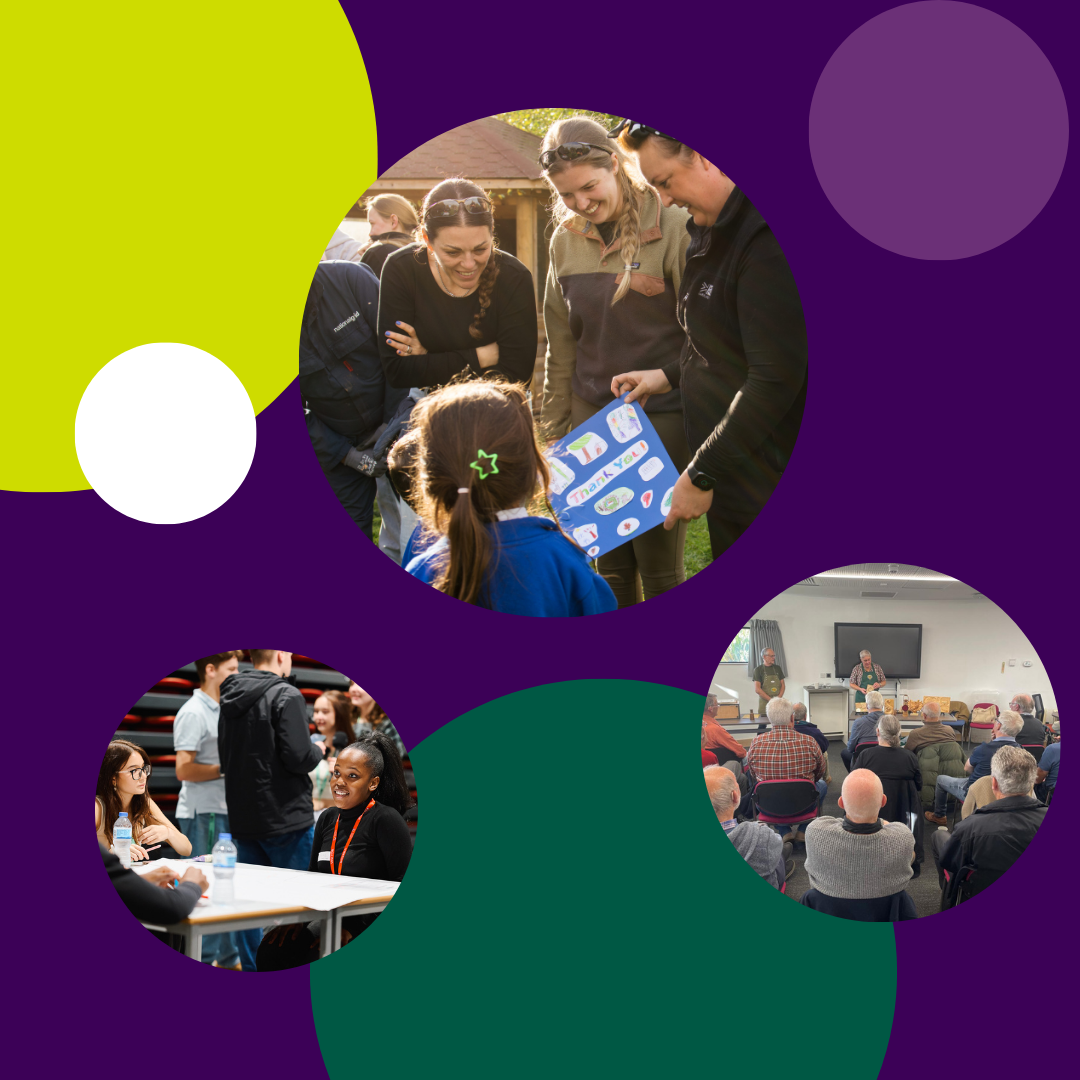 Three photos featuring volunteers together